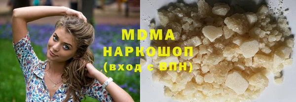 молекула духа Богданович